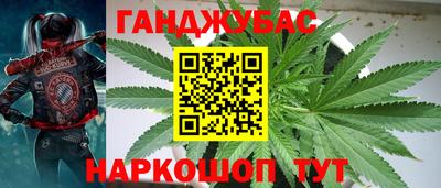 spice Дубна